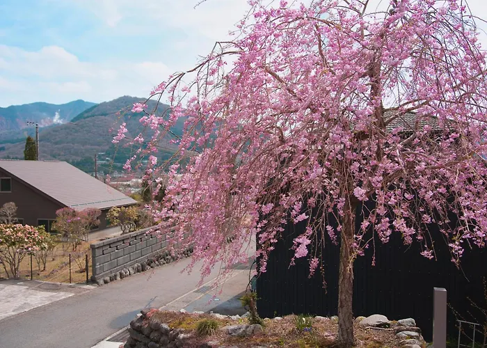 Root Hakone